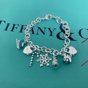 Tiffany & Co. Silver Charm Bracelet on Tiffany Blue